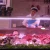 Import Nice quality Glass materials 1.2m 1200mm 4ft t8 pink led tube for fresh meat lighting from China