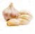 Import Optimum companies sell garlic fruit seeds to plant needing distributors from China