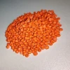 Orange  Plastic  Masterbatch