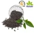 Import Organic Fertilizer compound NPK 5-3-5 for fruit natural materials for sale from China