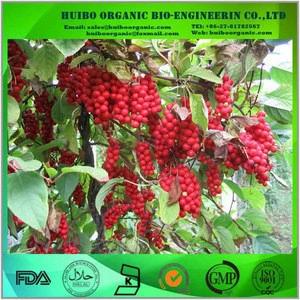 Organic schizandra fruit extract / schizandra berry