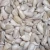 Import Organic sunflower seeds kernels supplier from China