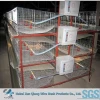 own oversea agent cheap poultry cages for chicken