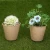 Import Paper pulp flower planting pot,nursery pot,seeding pot from China