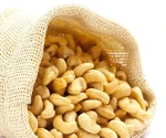 Perfect Dried Cashew Nut For Sale