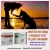 Import Pet Health Supplement-Bile Acids-Remove Tear stains,Jaundice and Cholestasis,Enhance Immunity,Control Healthy Weight-Powder[20g] from China