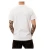 Import Pima Cotton Plain Custom Blank Men White T Shirts from China