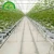 Import Plastic Hydroponic Cocopeat grow bags for greenhouse from China