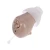 Import Pocket invisible sound amplifier cic hearing aid from China