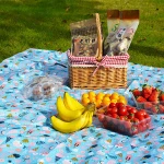 Portable Camping Mat Fame Style Waterproof Folding Mattress Baby Climb Outdoor Beach Picnic Blanket for Multiplayer Picnic