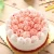 Import Portable Large Cake Holder,Translucent Dome Pie Carrier from China