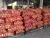 Import Premium Fresh Onions direct from Thailand Farm (Premium Quality Fresh Onion) from Thailand