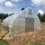 Import Professional Agricultural Reinforced Commercial Plastic Greenhouse from China