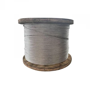 Professional Hot Galvanized High Quality Steel Wire Rope