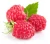 Import Professional Raspberry Leaf Extract, Raspberry Seed Extract Raspberry Ketones 99%, Pomegranate Juice Powder from China