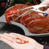 Professional Seafood Tool Stainless Steel Udang Deveiner Prawns Peeler Shrimps Shellers