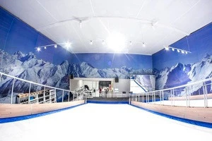 PROLESKI PRO3 Endless ski slopes Fun ride Indoor attraction Snowboard Ski simulator