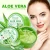 Import Pure Natural Plant Extract Organic Aloe Vera Gel Price Anti Aging Moisturizing Face Cream from China