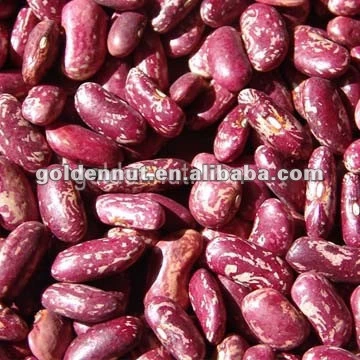 Purple speckled kidney beans