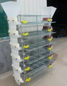 quail cage for sale