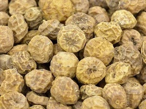 Quality  South Africa Tiger Nuts