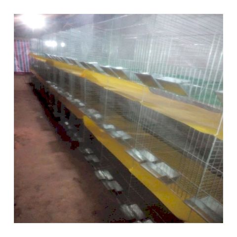 Buy Rabbit Farming 24 Cells Mother Commercial Rabbit Breeding Battery ...