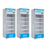 Refrigeration equipment supermarket Mini Deep Refrigerator Freezer