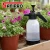 Import Sanipro 2.0L Mist Sprayer Bottle Pressure Pump Sprayer Water Hand Trigger Bottle Plastic Garden Sprayers from China