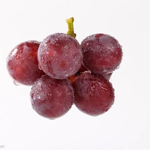 sell Red grapes/Fresh red grapes/Best fresh red grapes