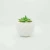 Import simply white indoor ceramic succulent pots Modern Cute Small Cactus Herb Flower Planters Set with Bamboo Tray Indoor or Outdoor from China