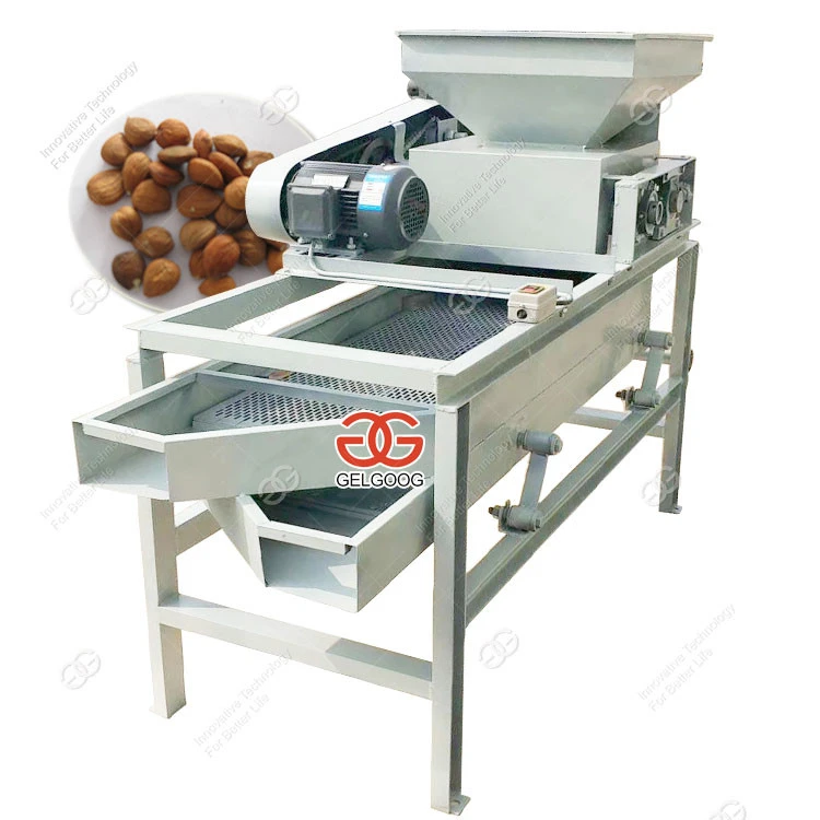 Single Grade Small Almond Shell Breaking Machine Hazelnut Hulling Machines Shellers