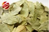 Single Herbs & Spices Bay Leaves