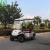 Import Single seater or 2 seaters electric golf cart from China