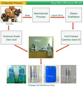 Skincare, Cosmetic Chinese Factory Supply Top Grade Camellia Seed Oil