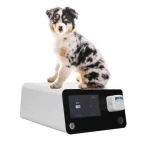 Small Animal Use Veterinary RF Radio Frequency Tumor Ablation Device for Tumor Treatment