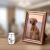 Import Small Cremation Urns for Pet Ashes Mini Dog Paw Keepsake Urn Stainless Steel Ashes Keepsake Urn for Dog/Cat Ashes Holder from China