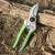 Import Small Sharp Tree Trimmers Secateurs Hand Shears Garden scissors Clippers Pruner Pruning Shear for sale from China