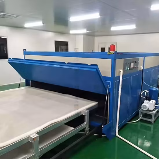 Smart Tempered Glass Laminating Furnace/ EVA Pdlc Film Glass Heating Machine 2 Trays Glass Lamination Furnace