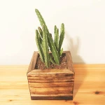 Solar planter pot in Pine Material