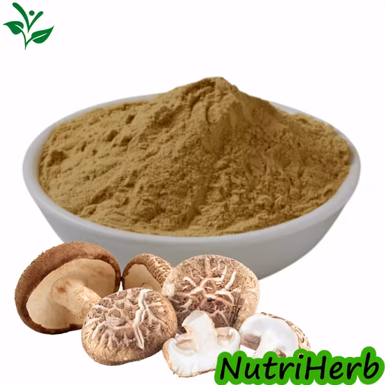 Pure Shiitake Mushroom Extract Lentinan Shiitake Beta D Glucan
