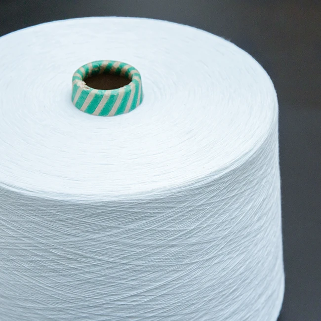 Spun Polyester Yarn 10/1, 20/1, 30/1 (OBW)