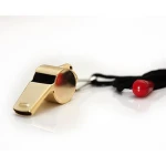 Stainless Steel Whistle with Lanyard Metal Referee, Coach Whistle, Extra Loud Whistle