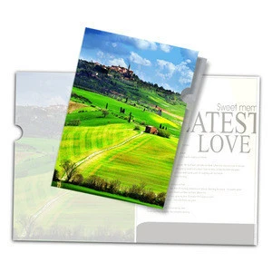 Stationery 3D Lenticular Printing Service Cute 3D Picture Plastic 3D File Folder