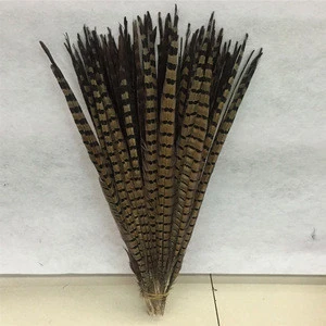 Supply pheasant fur pheasant tail copper chicken tail various feathers