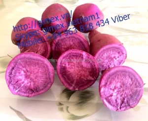 SWEET POTATO / FROZEN SWEET POTATO VIETNAM +84984418844 whatsapp