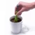 Import Tea Infuser Gadget Measure Swirl Steep Stir and Press Plastic Tea&amp;Coffee Strainer Tea Filter Healthy Food Grade Flavor Total from China