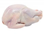 Thailand Halal Frozen Whole Chicken, Chicken Parts