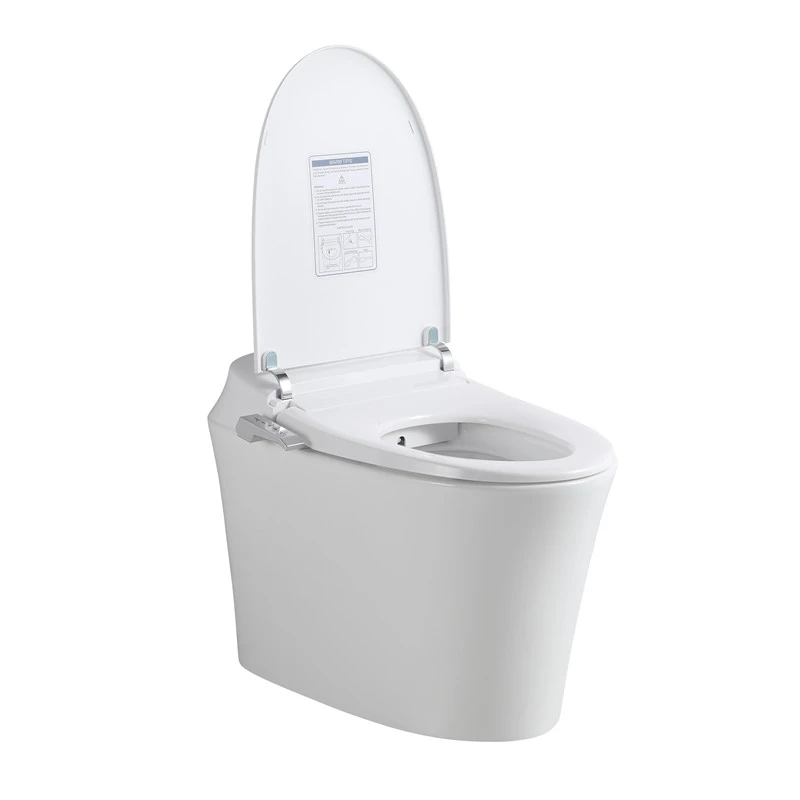 Thailand Vietnam bathroom battery operated indian ceramic bidet plastic seat cover smart intelligent toilet