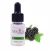 Import The Best Selling Popular Fruit Juice High Concentration Green Apple Pepeermint Flavour Concentrate from China