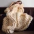 Import Thick Wool Cable Knit Throw Blanket Chunky Merino Wool Knitted Blanket from China